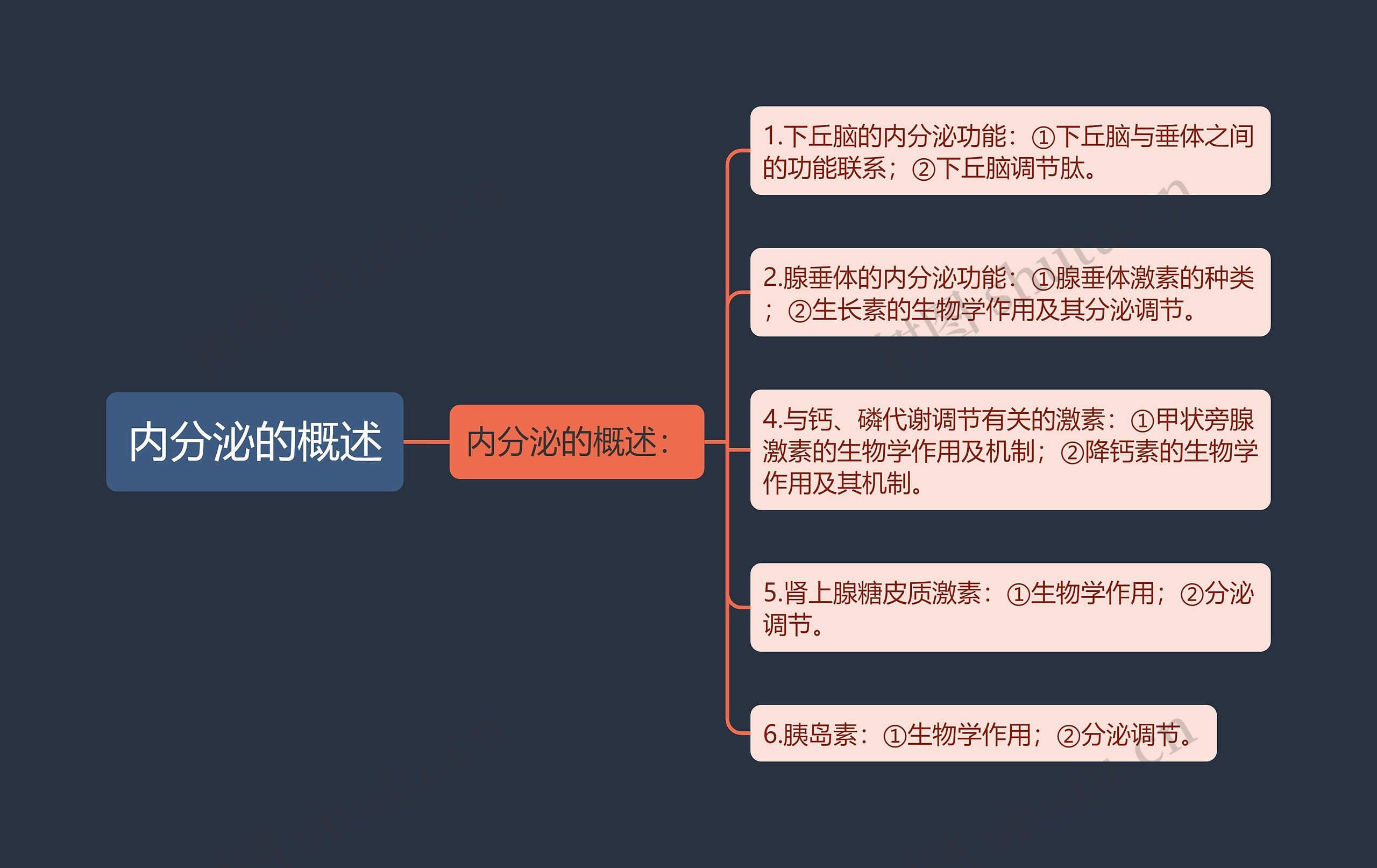 内分泌的概述