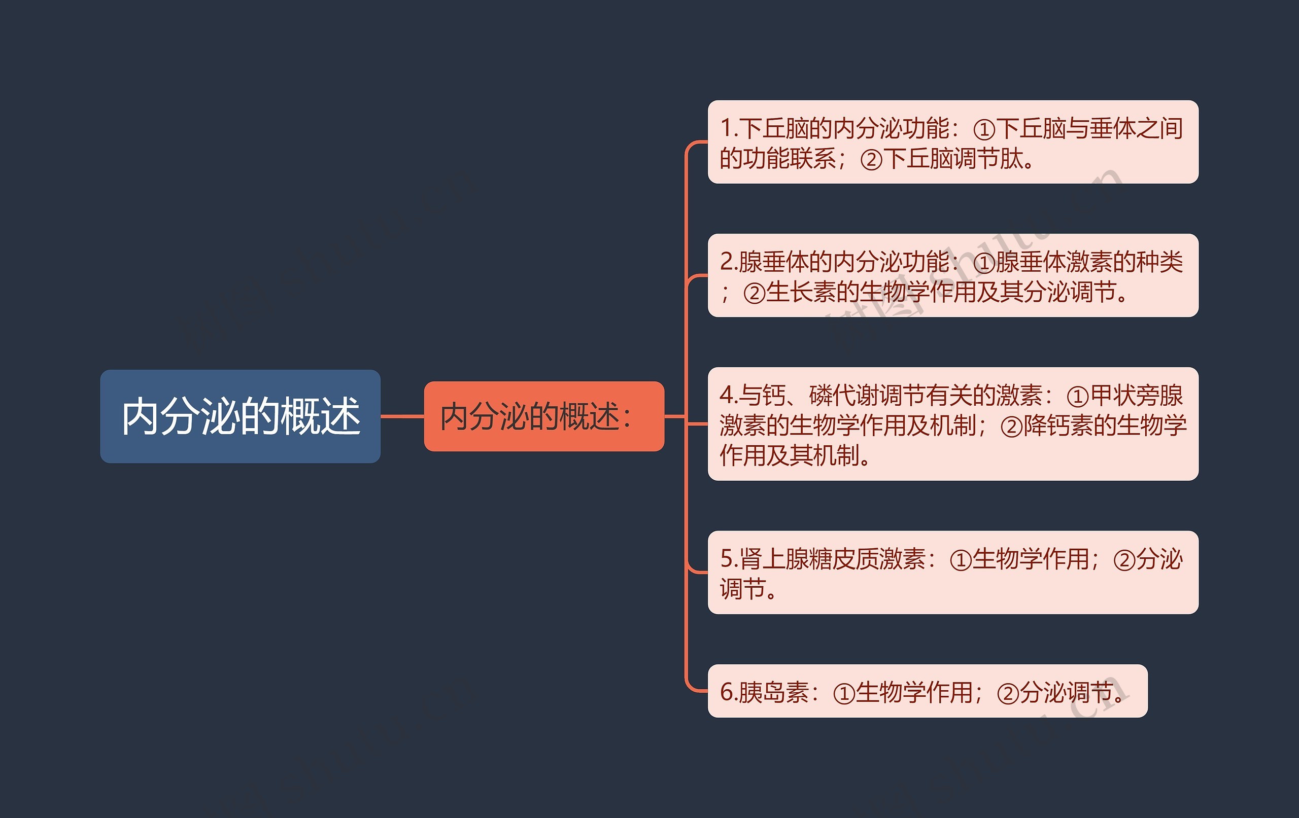 内分泌的概述思维导图