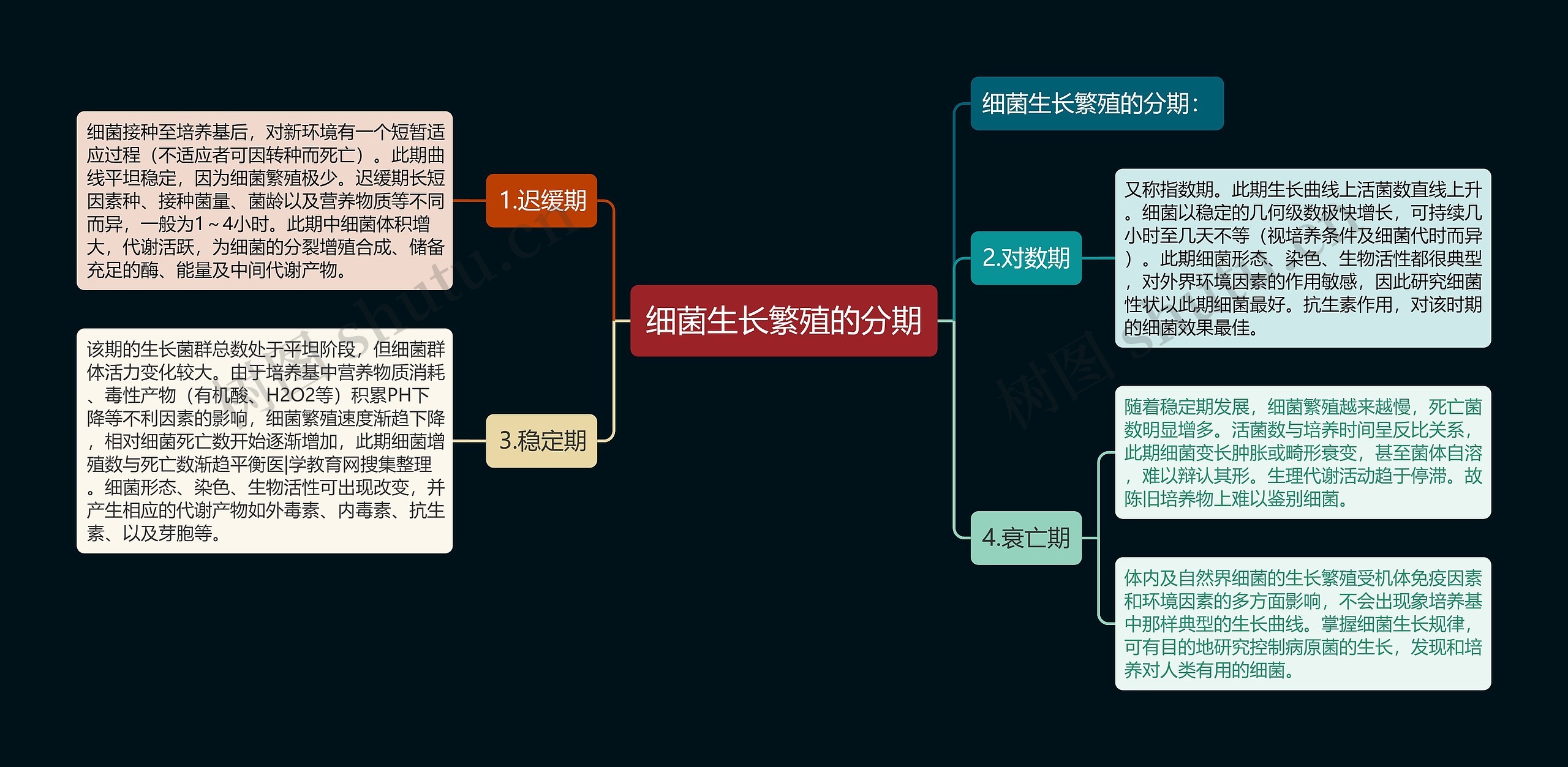 细菌生长繁殖的分期思维导图