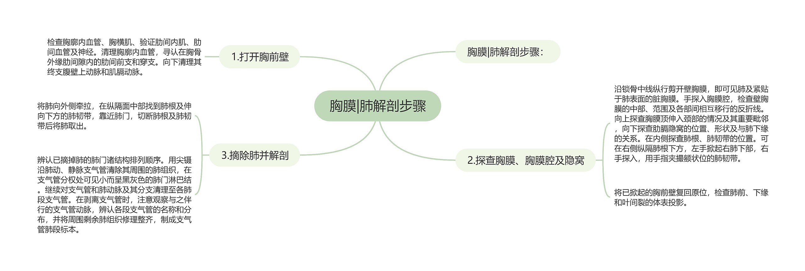 胸膜|肺解剖步骤思维导图