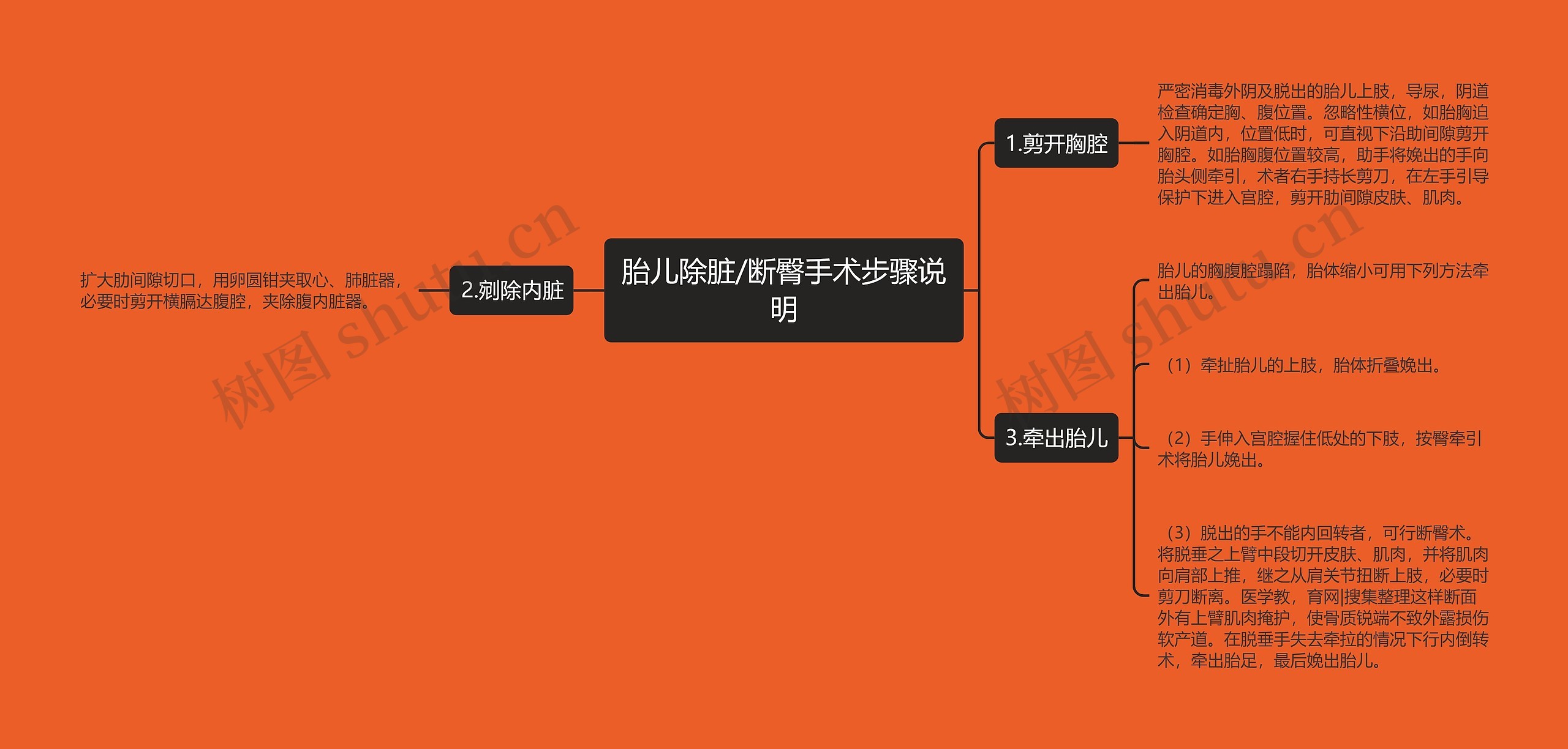 胎儿除脏/断臀手术步骤说明 胎儿除脏/断臀手术步骤说明