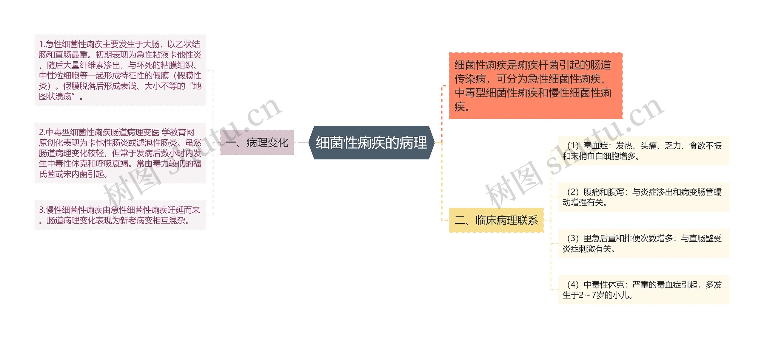 细菌性痢疾的病理