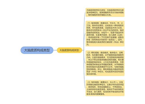 大脑皮质构成类型