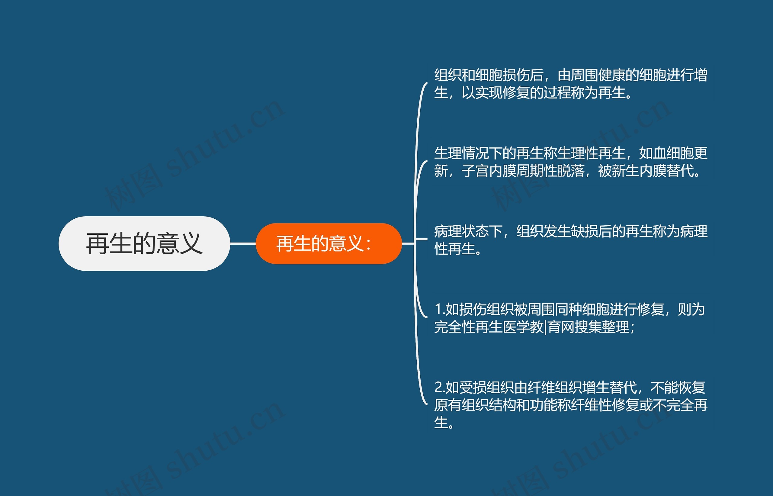 再生的意义思维导图