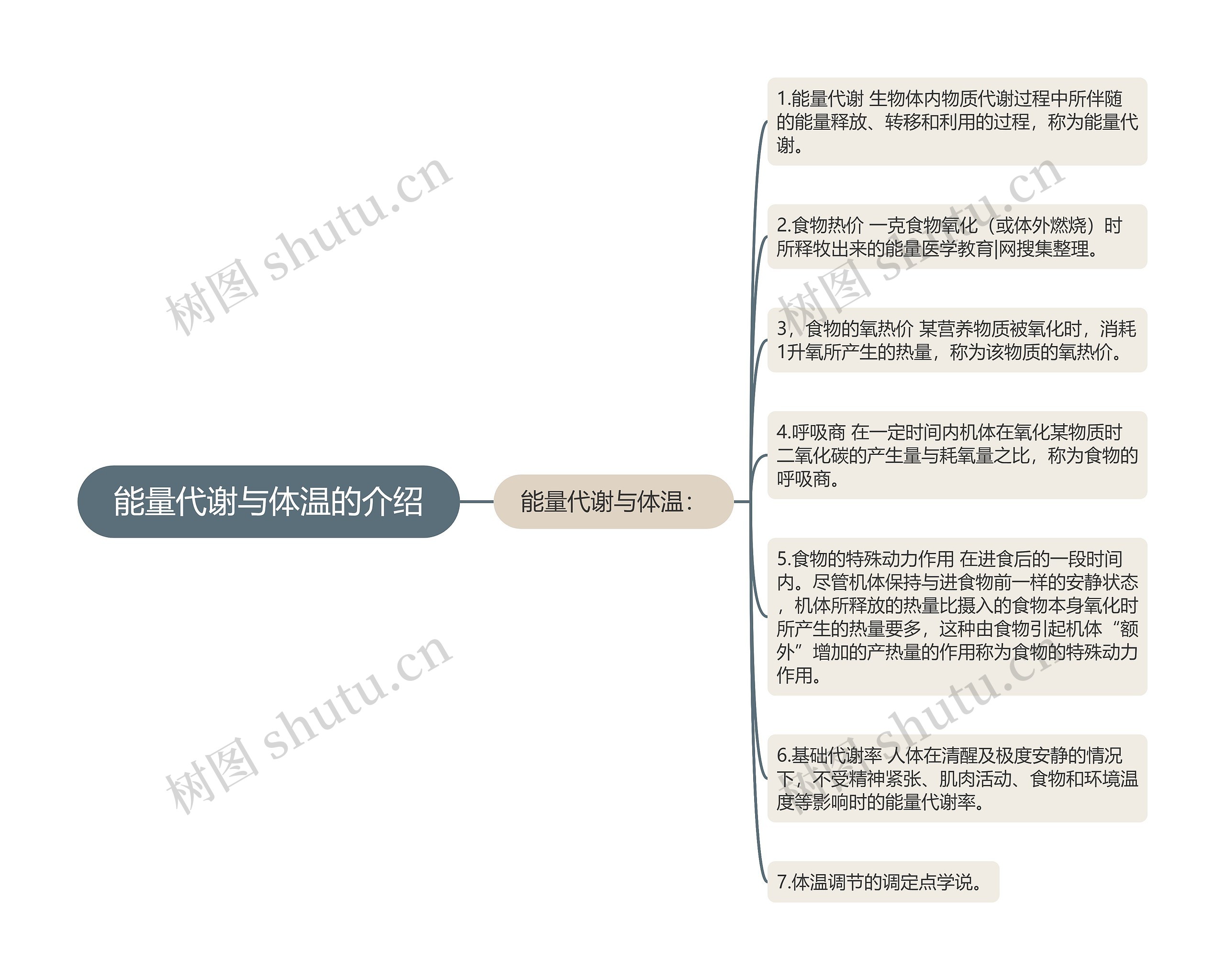 能量代谢与体温的介绍思维导图