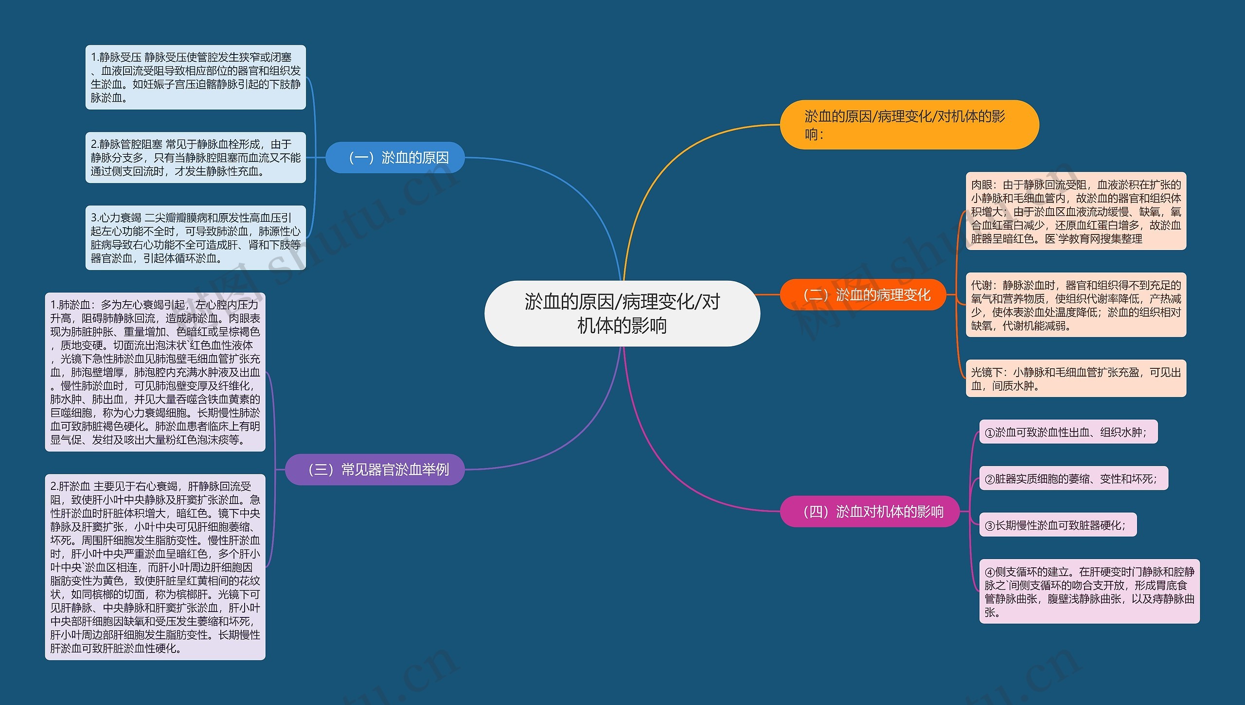 淤血的原因/病理变化/对机体的影响思维导图