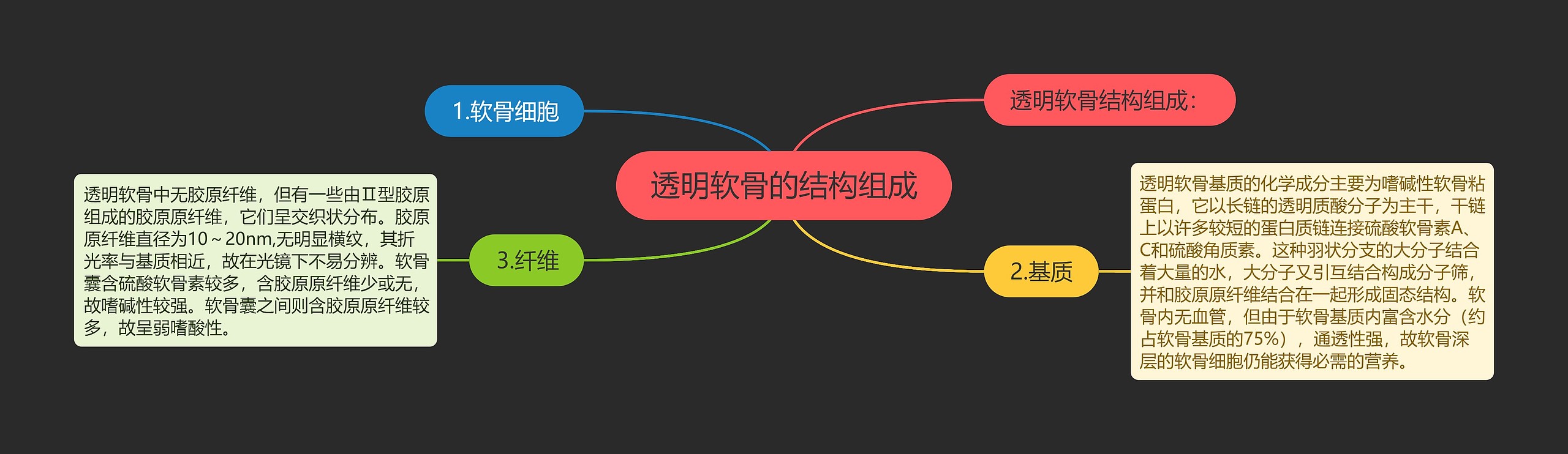 透明软骨的结构组成 透明软骨的结构组成