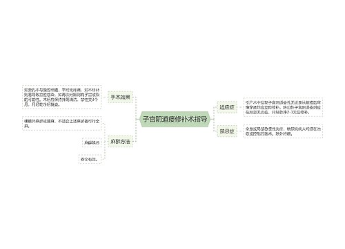 子宫阴道瘘修补术指导