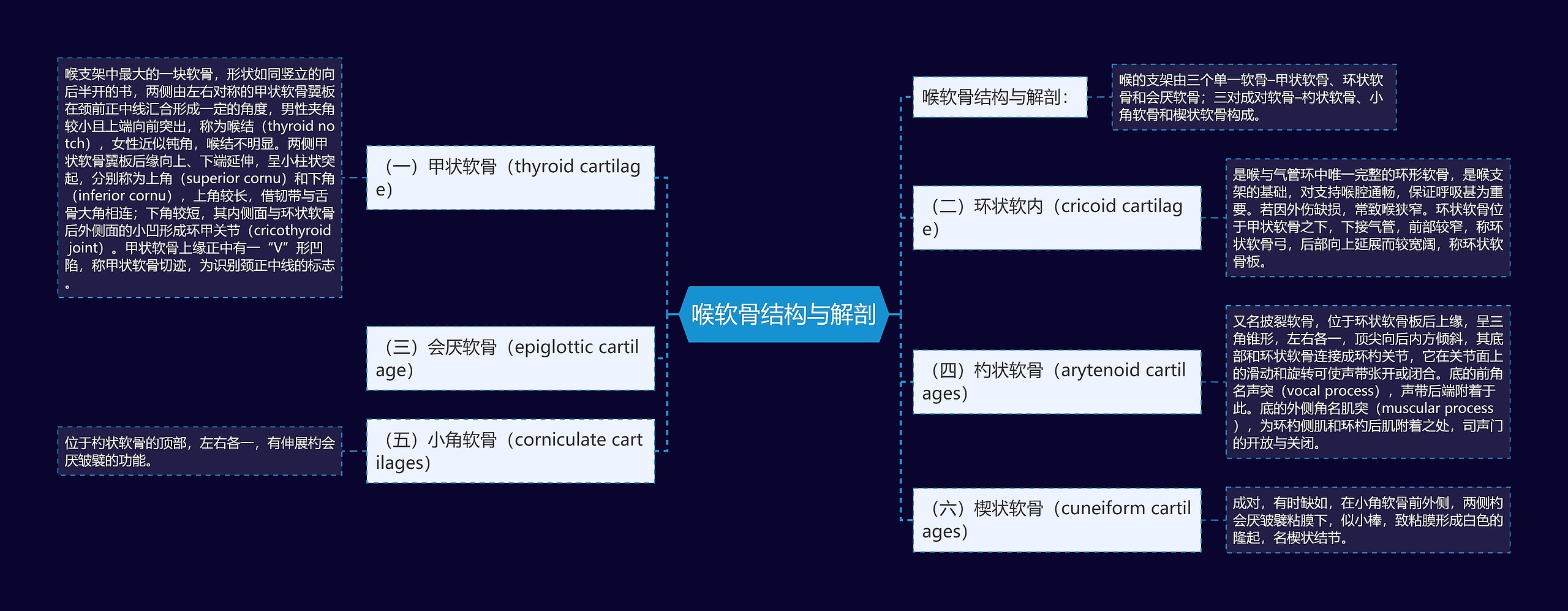 喉软骨结构与解剖思维导图