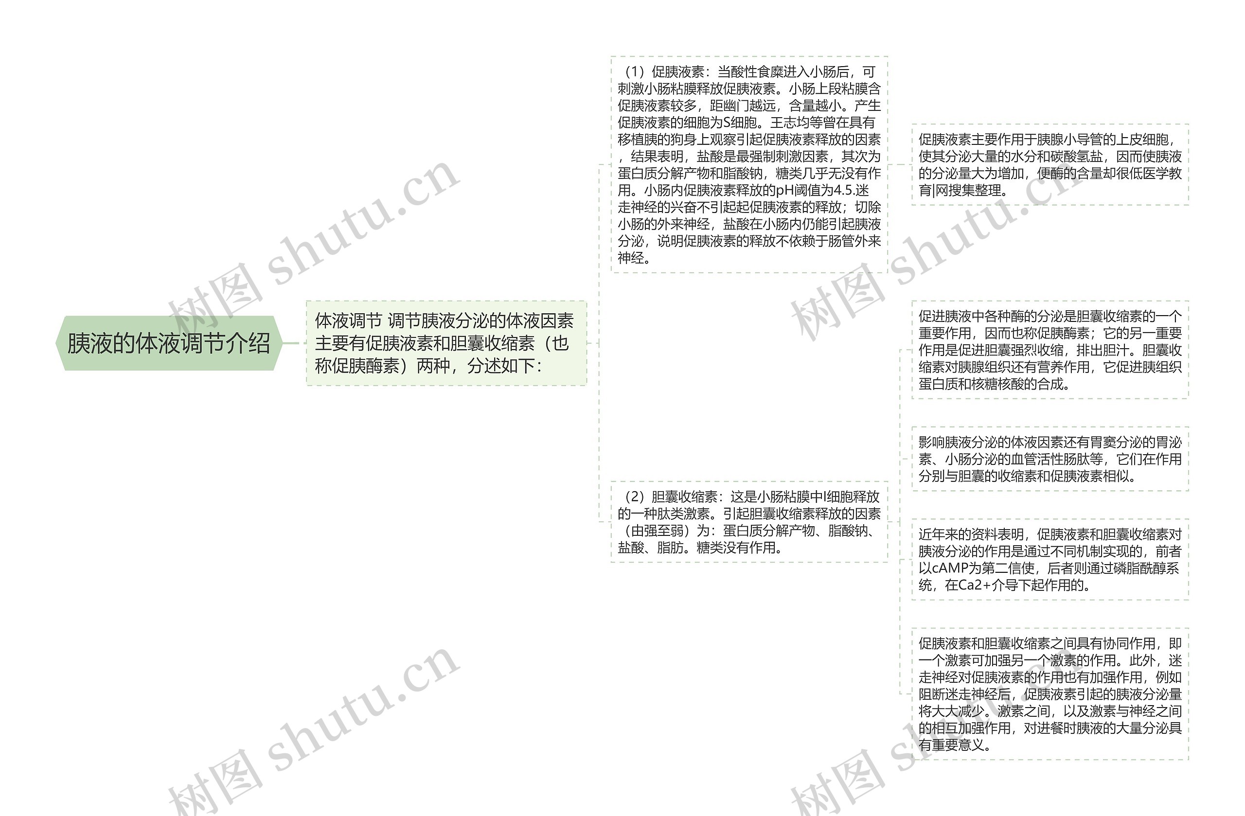 胰液的体液调节介绍