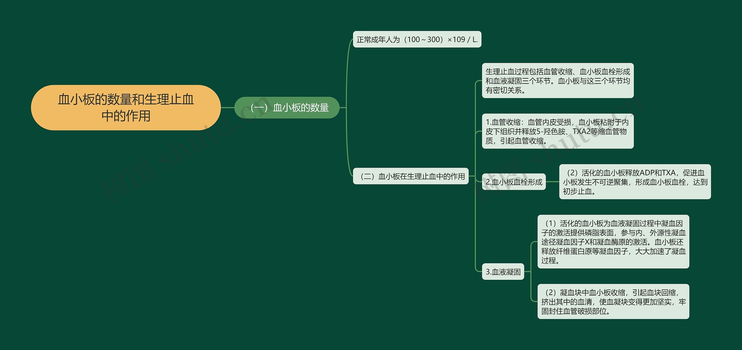 血小板的数量和生理止血中的作用思维导图