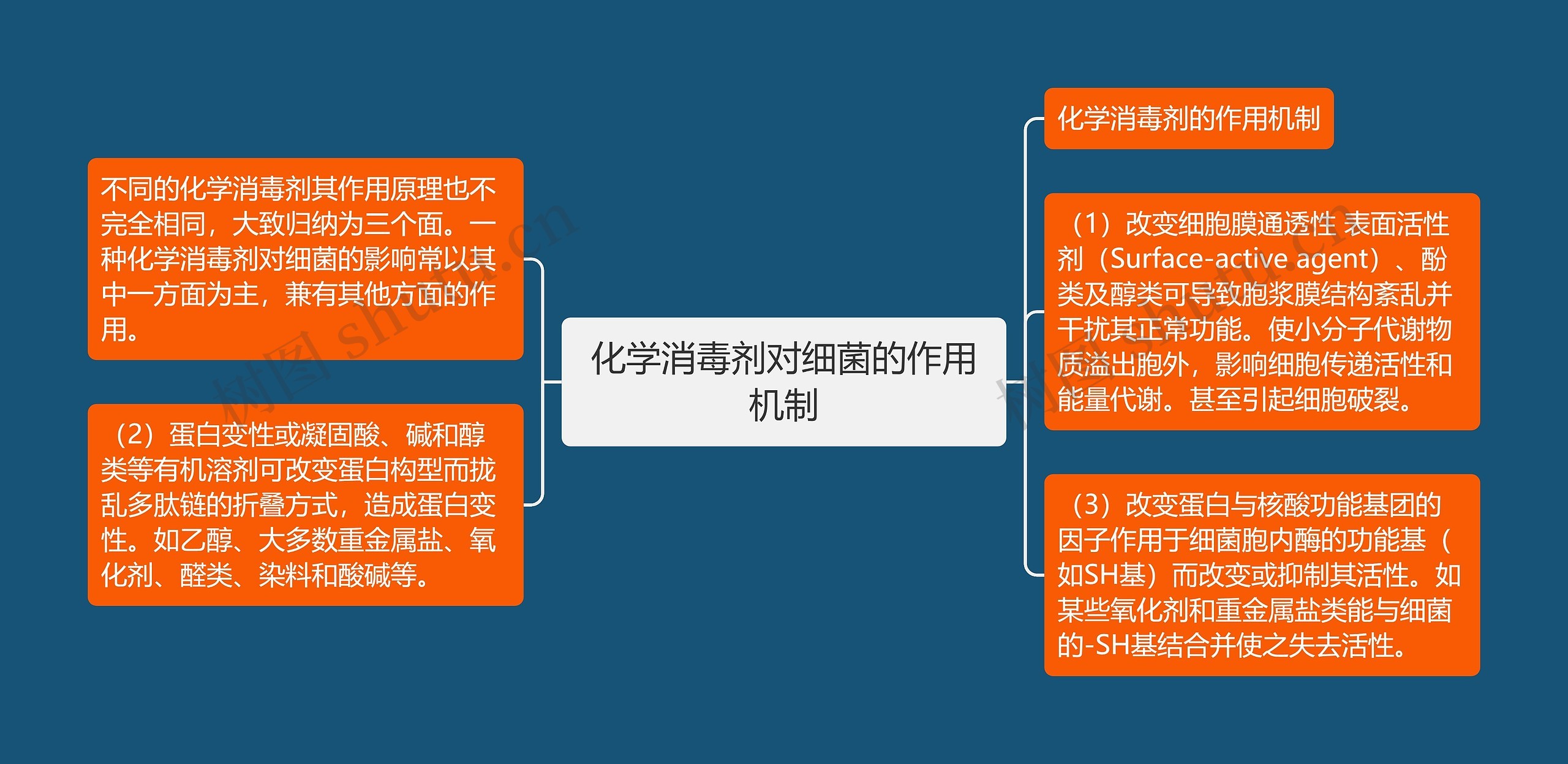 化学消毒剂对细菌的作用机制