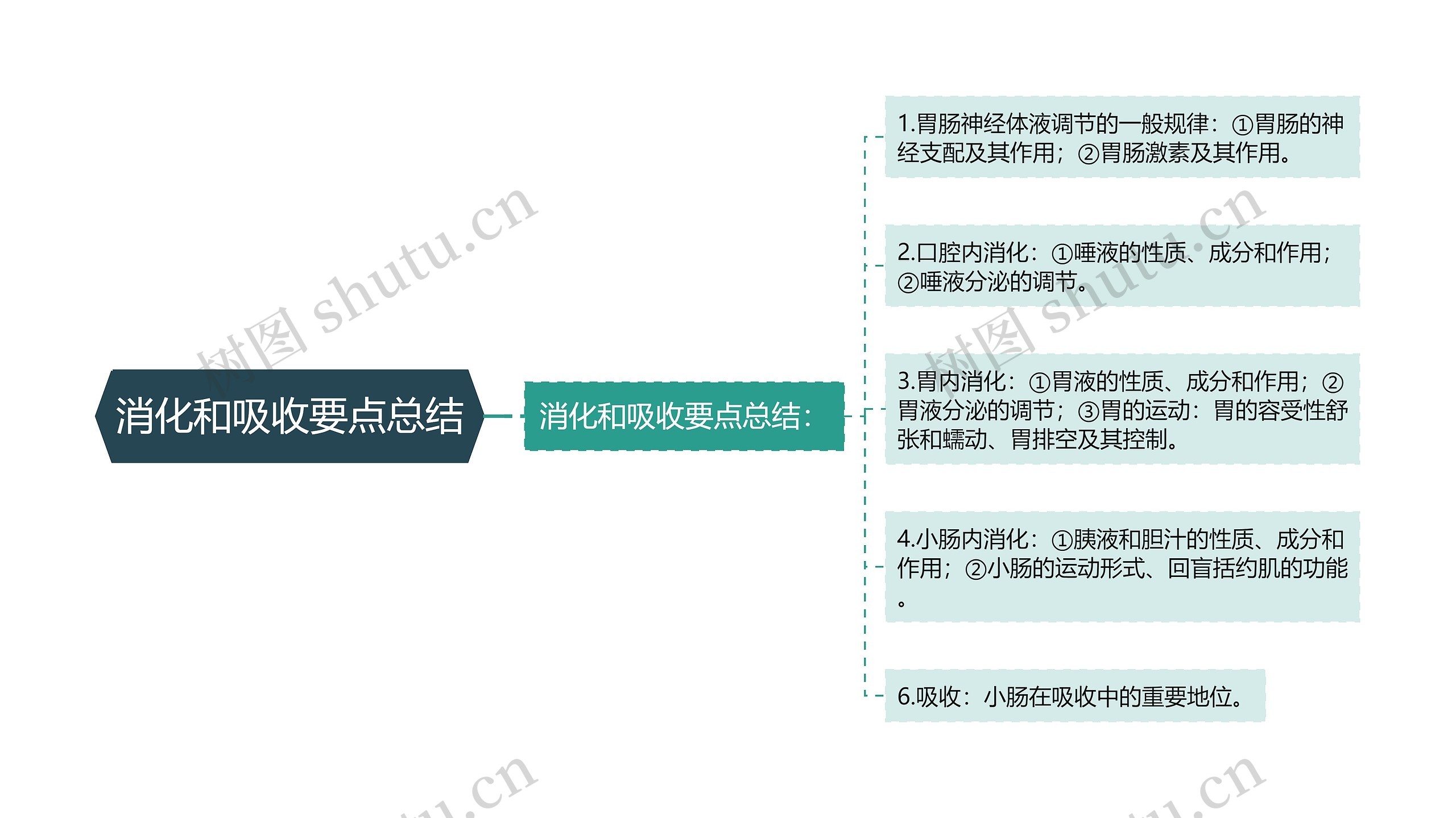 消化和吸收要点总结思维导图