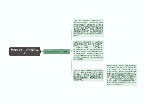 基因突变分子的生物学基础