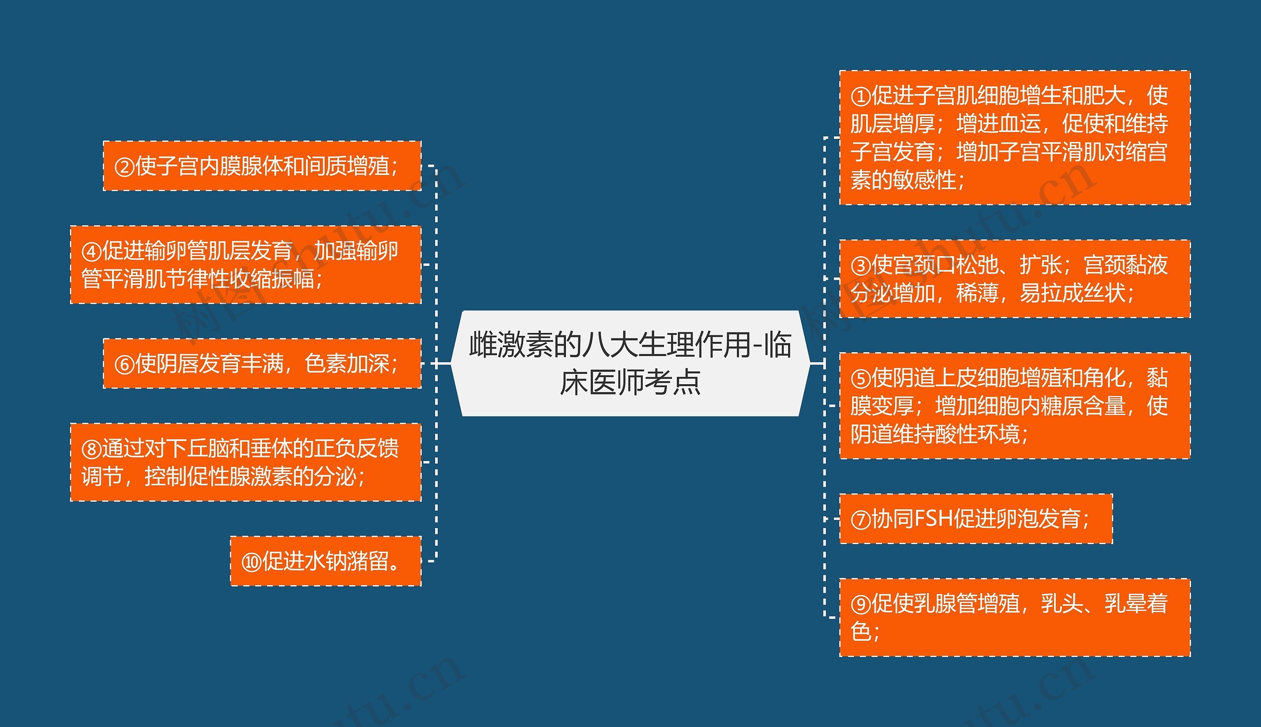 雌激素的八大生理作用-临床医师考点 雌激素的八大生理作用-临床医师考点