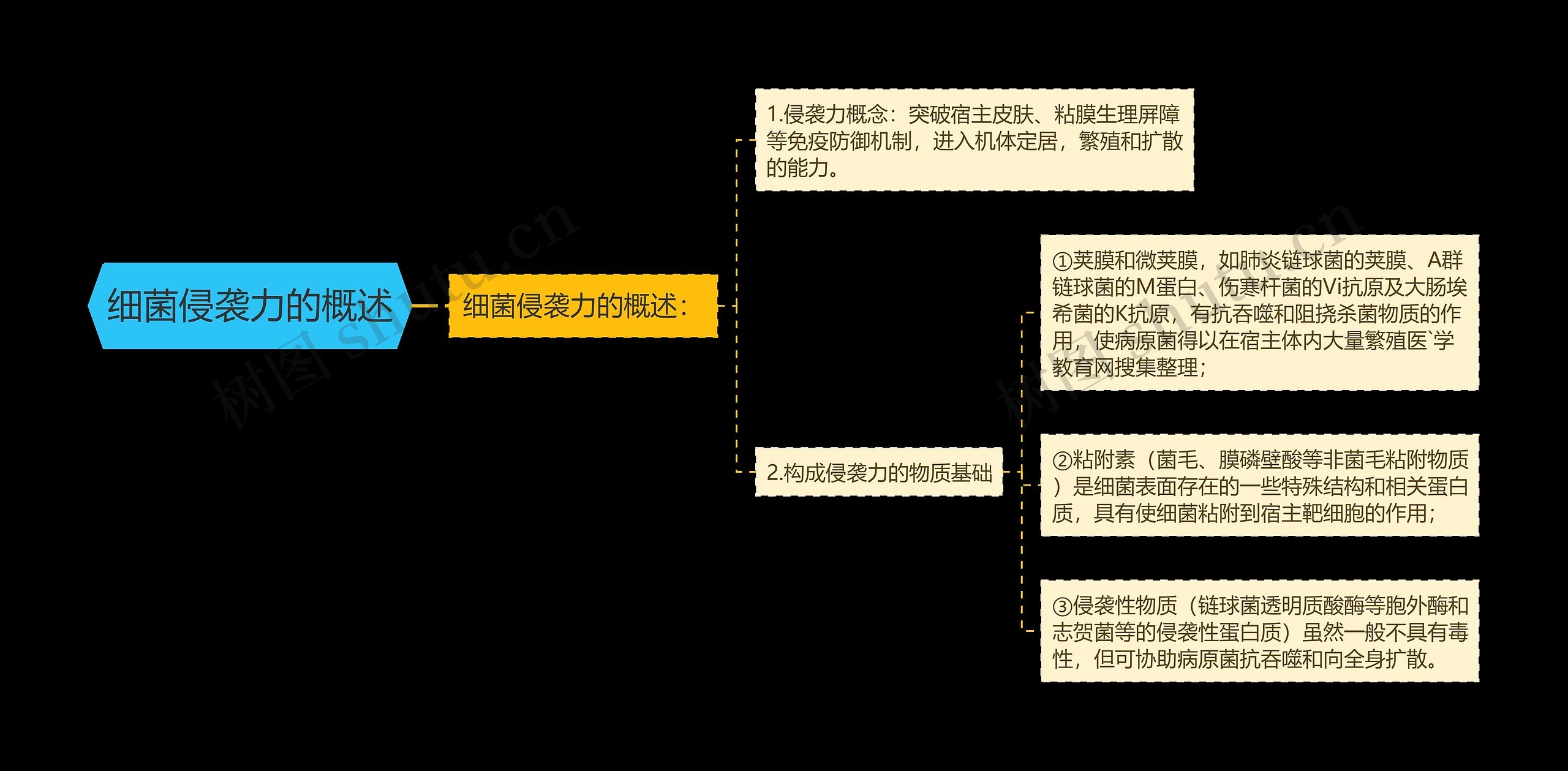 细菌侵袭力的概述思维导图