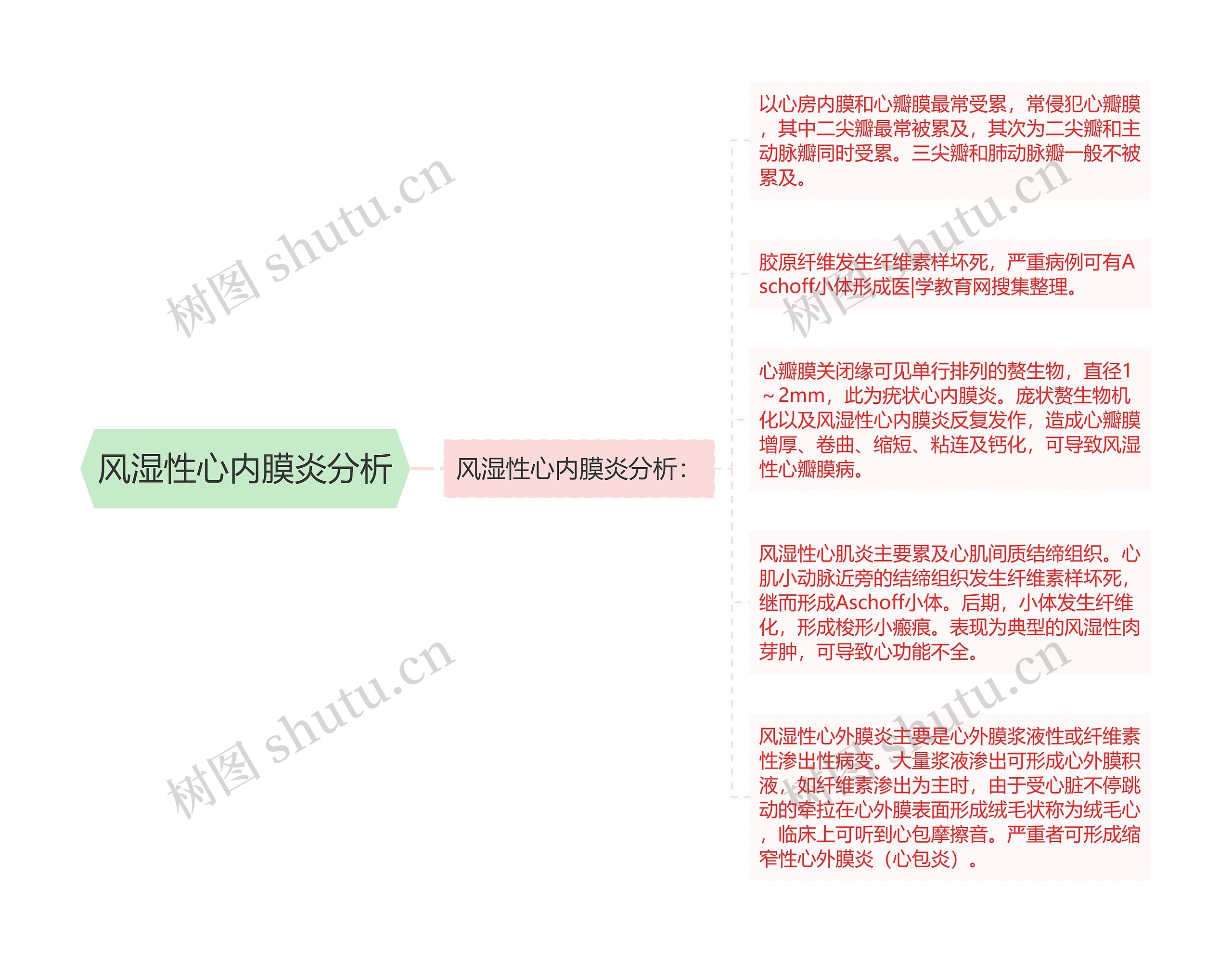 风湿性心内膜炎分析思维导图