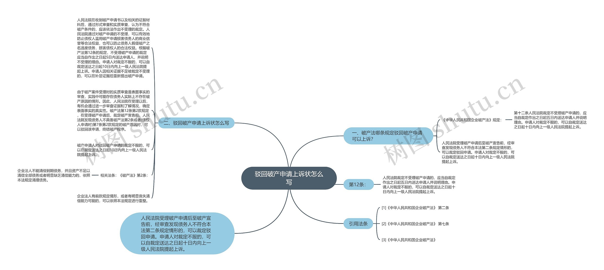 驳回破产申请上诉状怎么写思维导图