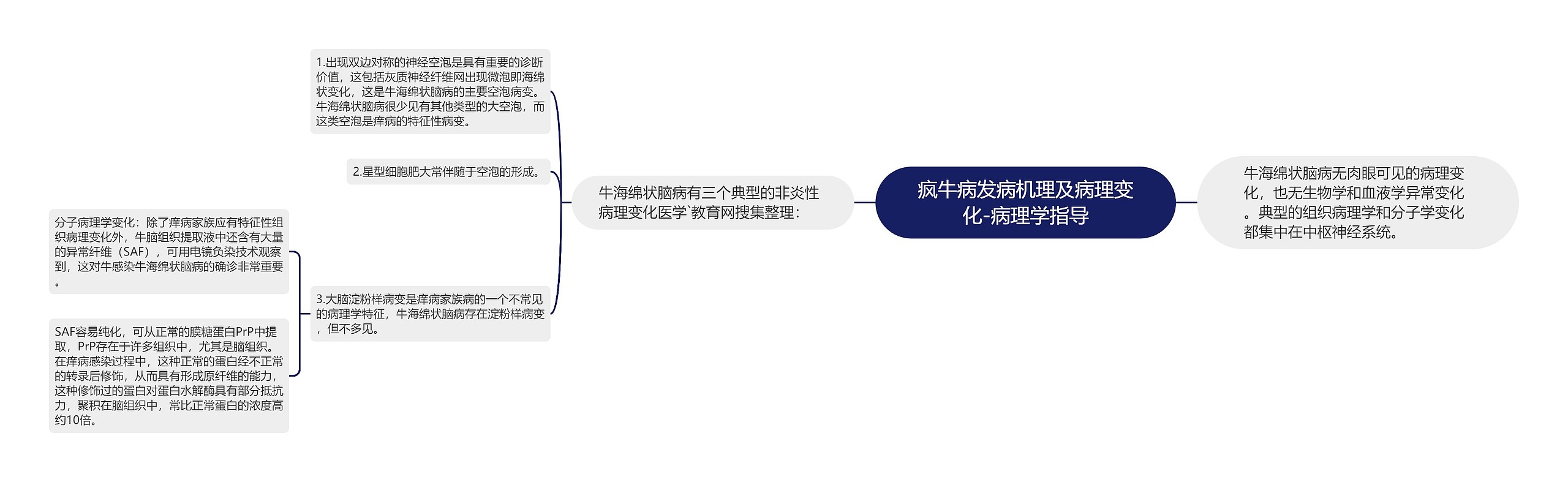 疯牛病发病机理及病理变化-病理学指导