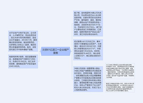 欠债61亿湛江一企业破产重整