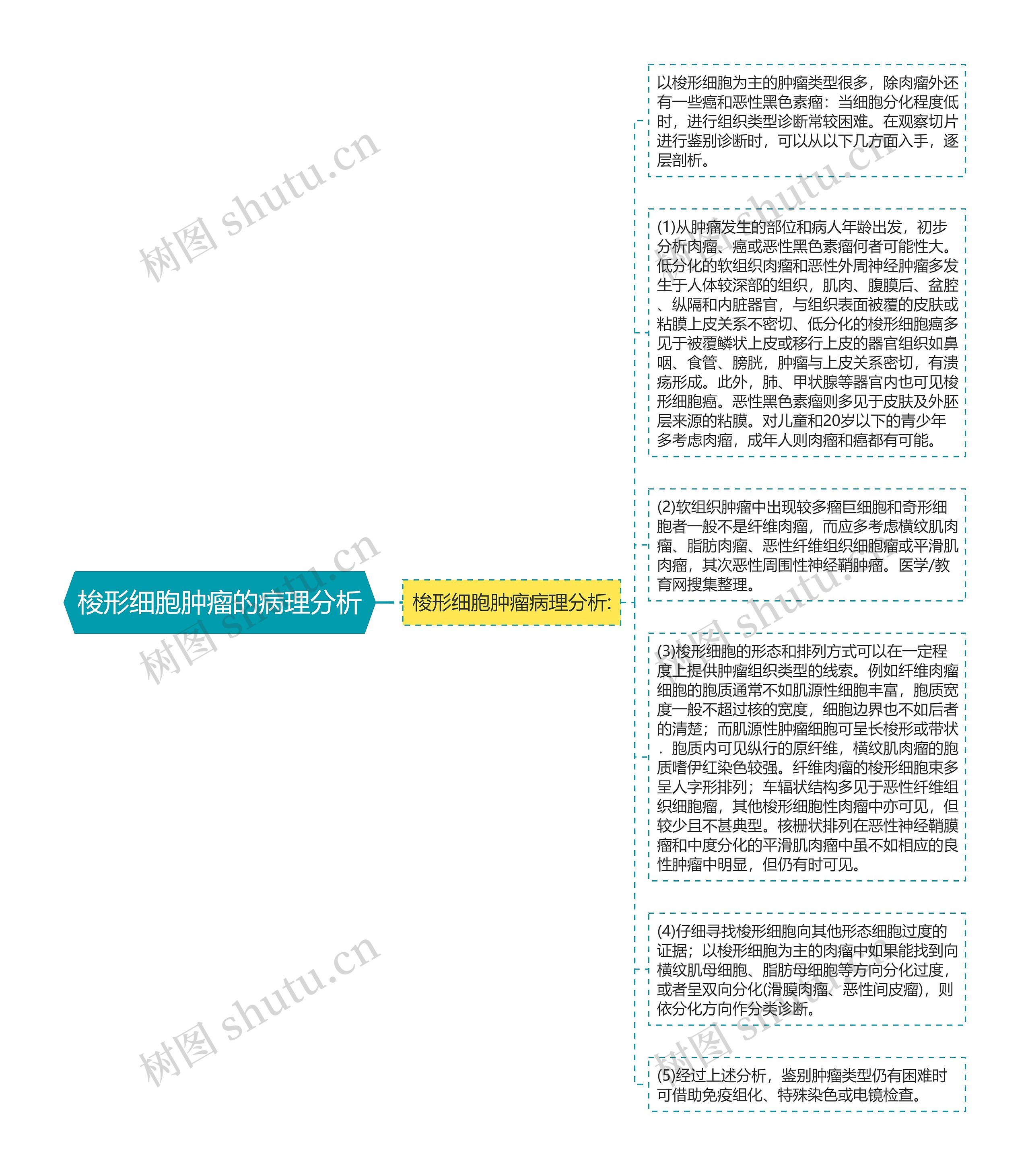 梭形细胞肿瘤的病理分析思维导图