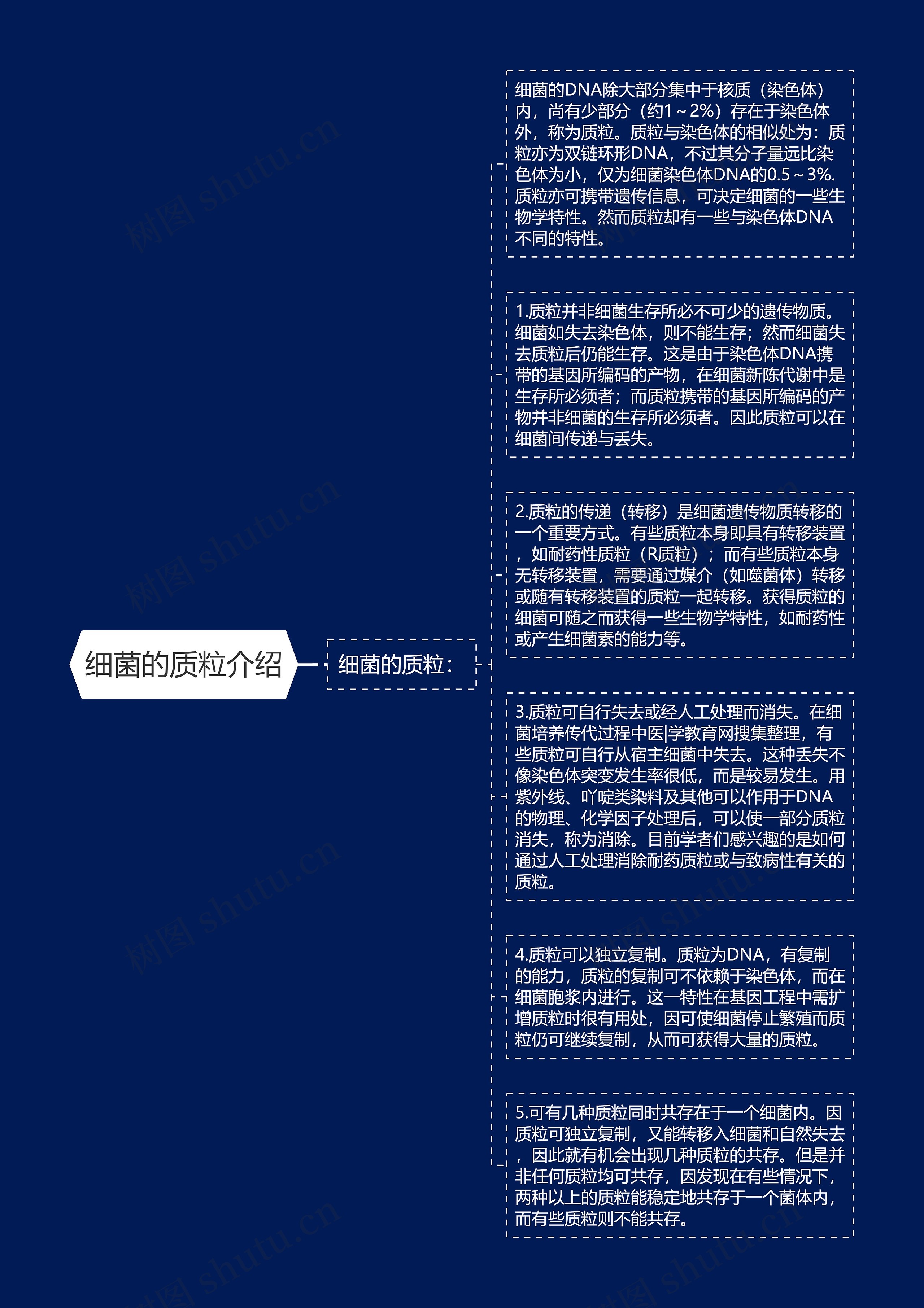 细菌的质粒介绍