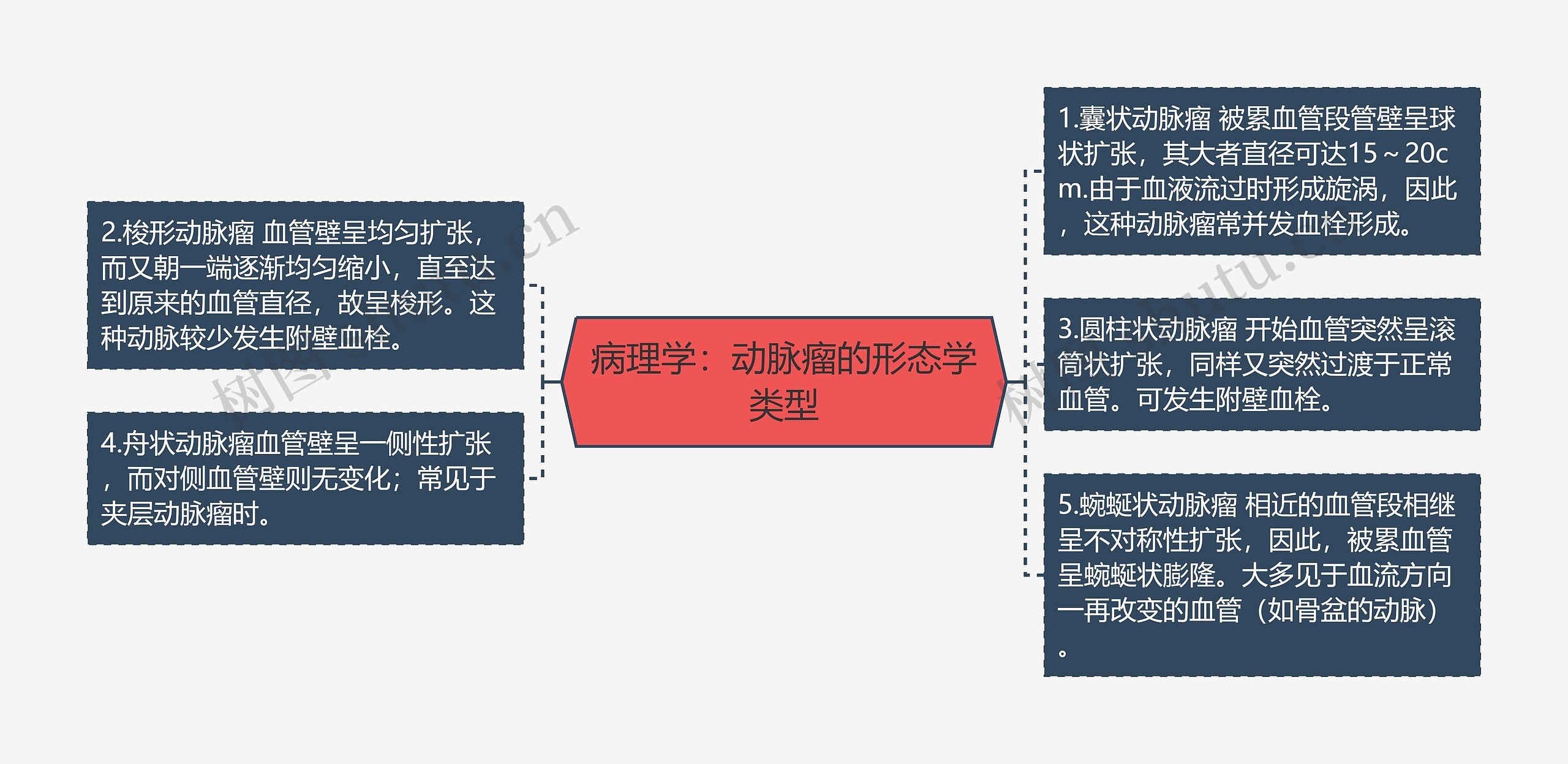 病理学：动脉瘤的形态学类型