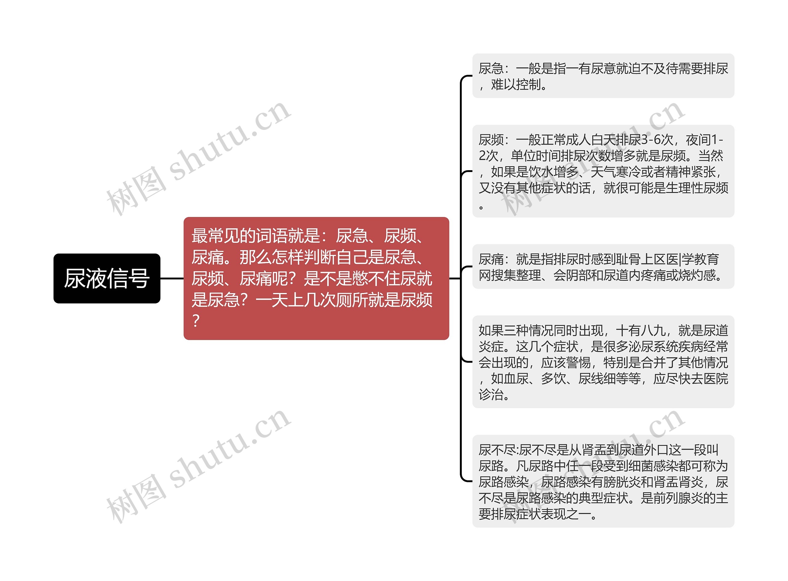 尿液信号思维导图