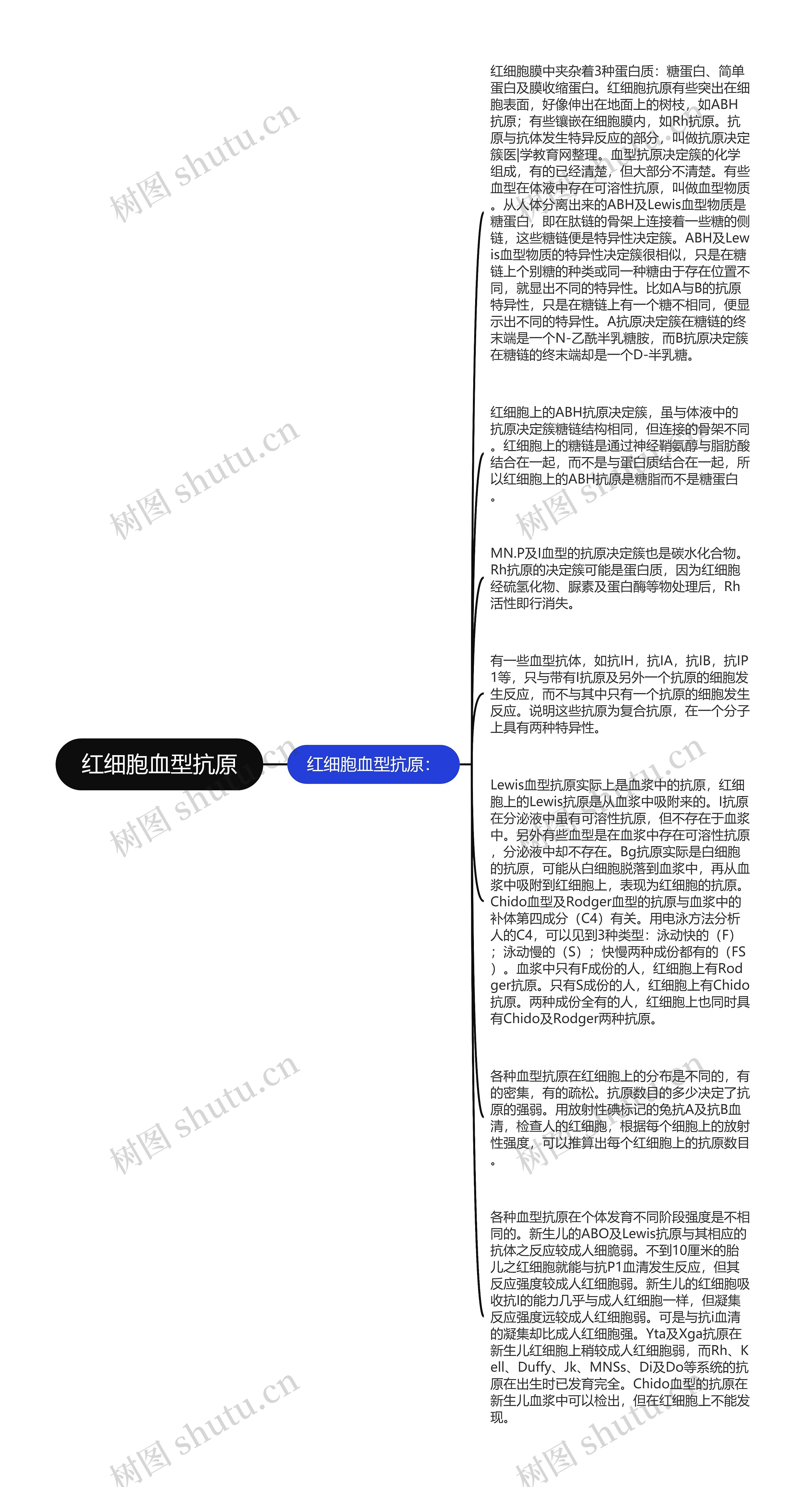 红细胞血型抗原