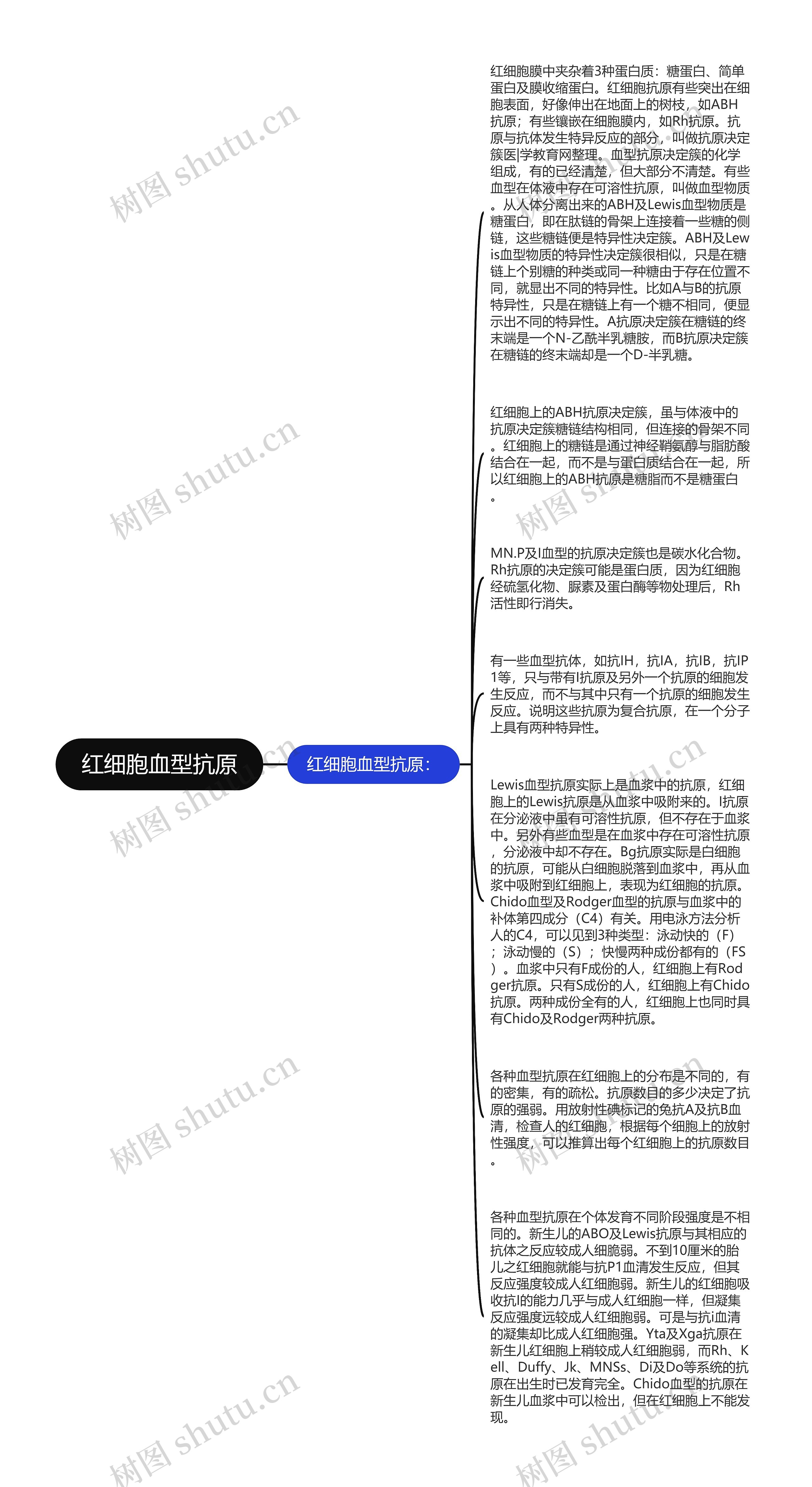红细胞血型抗原思维导图