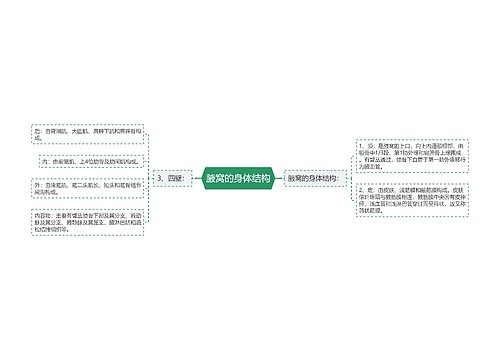 腋窝的身体结构