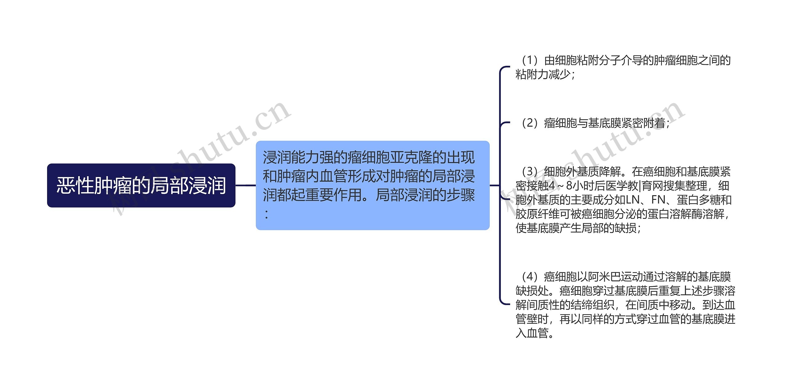 恶性肿瘤的局部浸润思维导图