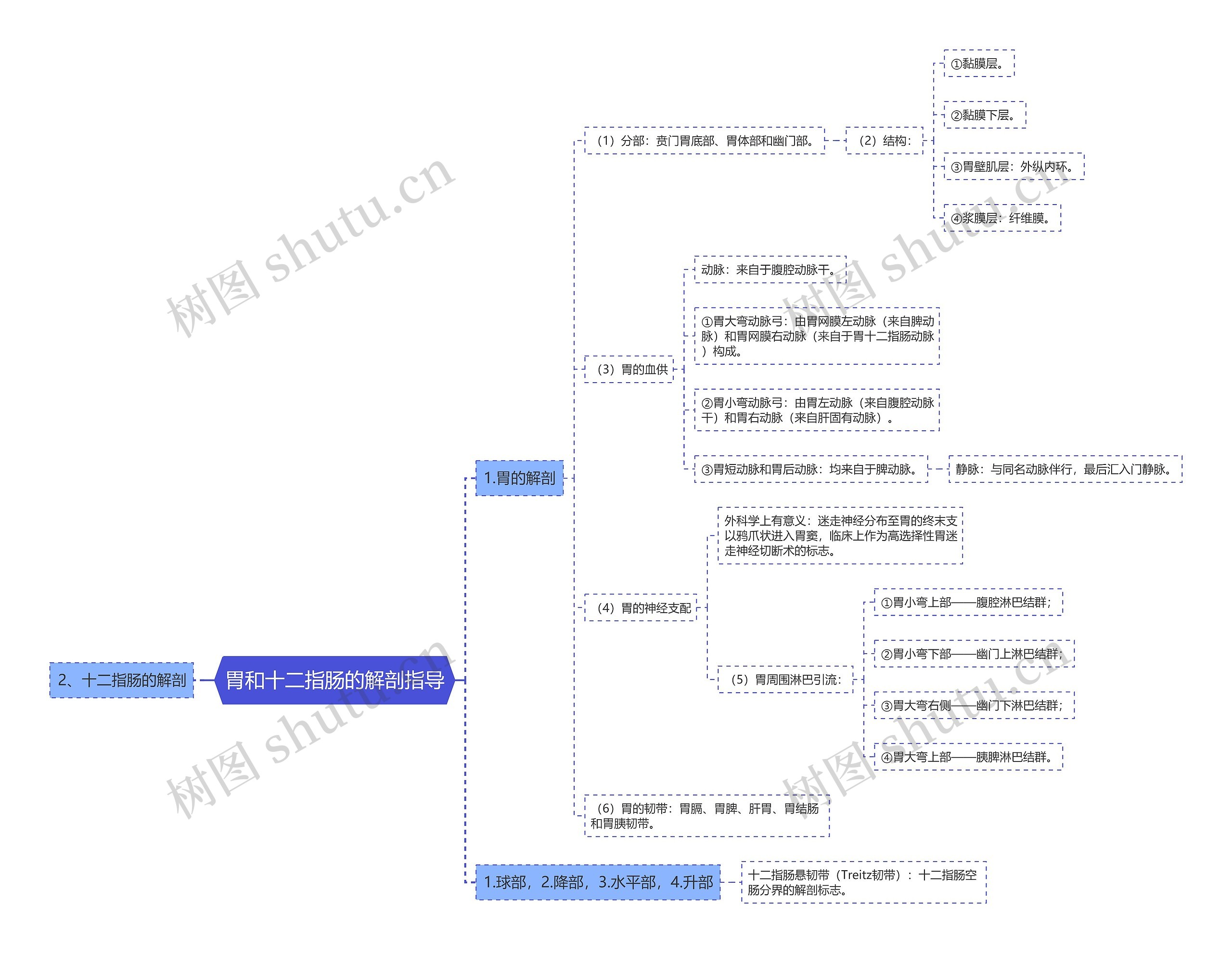 胃和十二指肠的解剖指导 胃和十二指肠的解剖指导