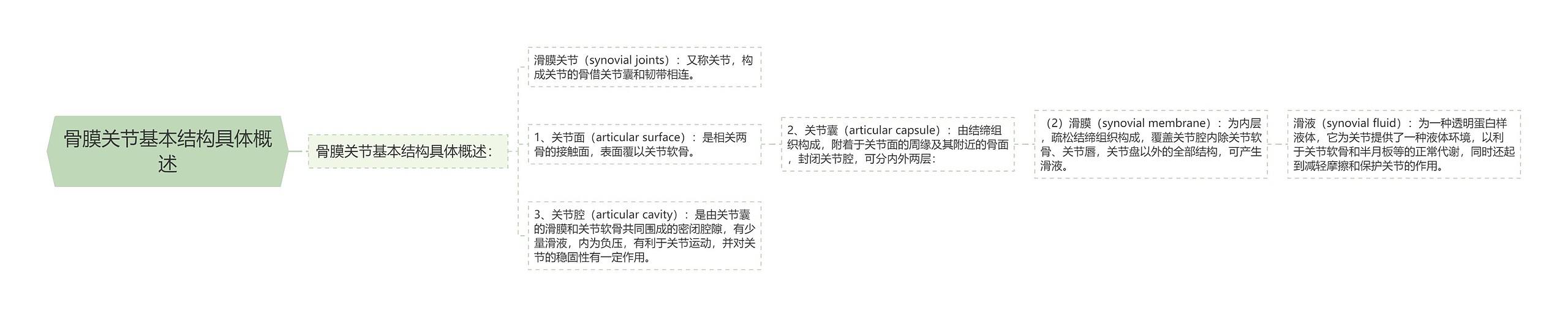 骨膜关节基本结构具体概述