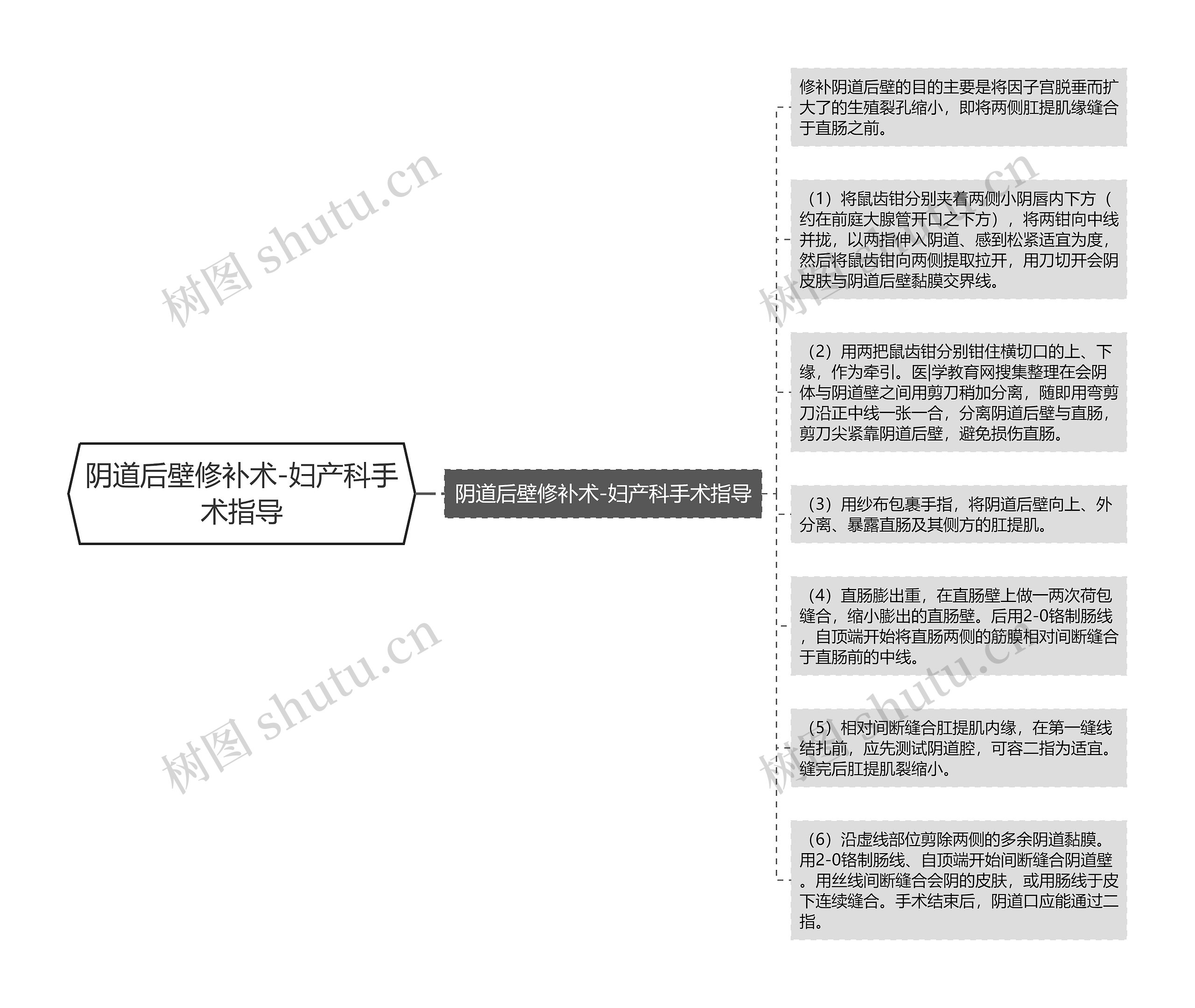 阴道后壁修补术-妇产科手术指导