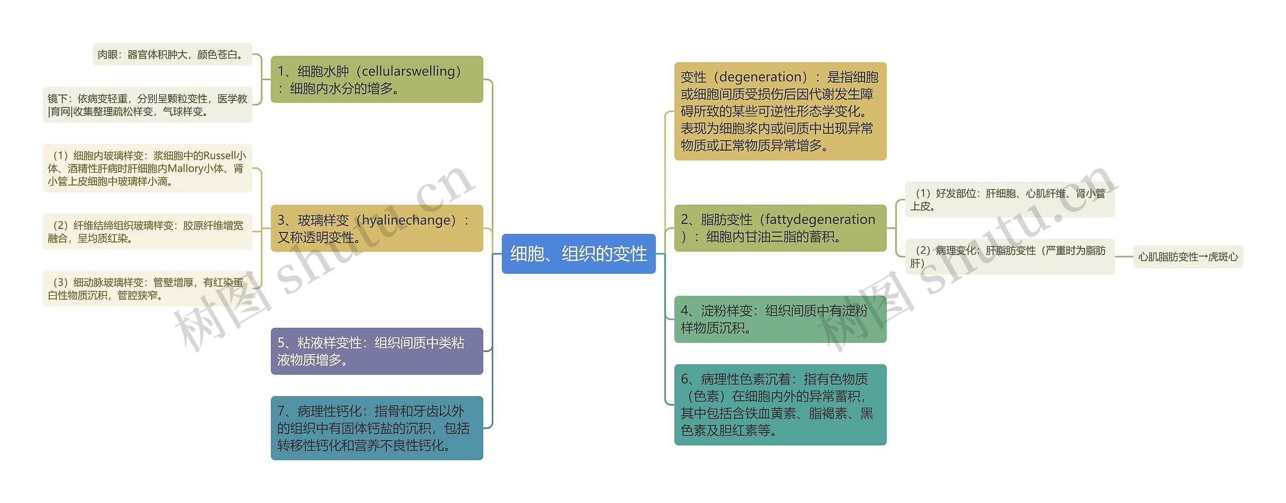 细胞、组织的变性