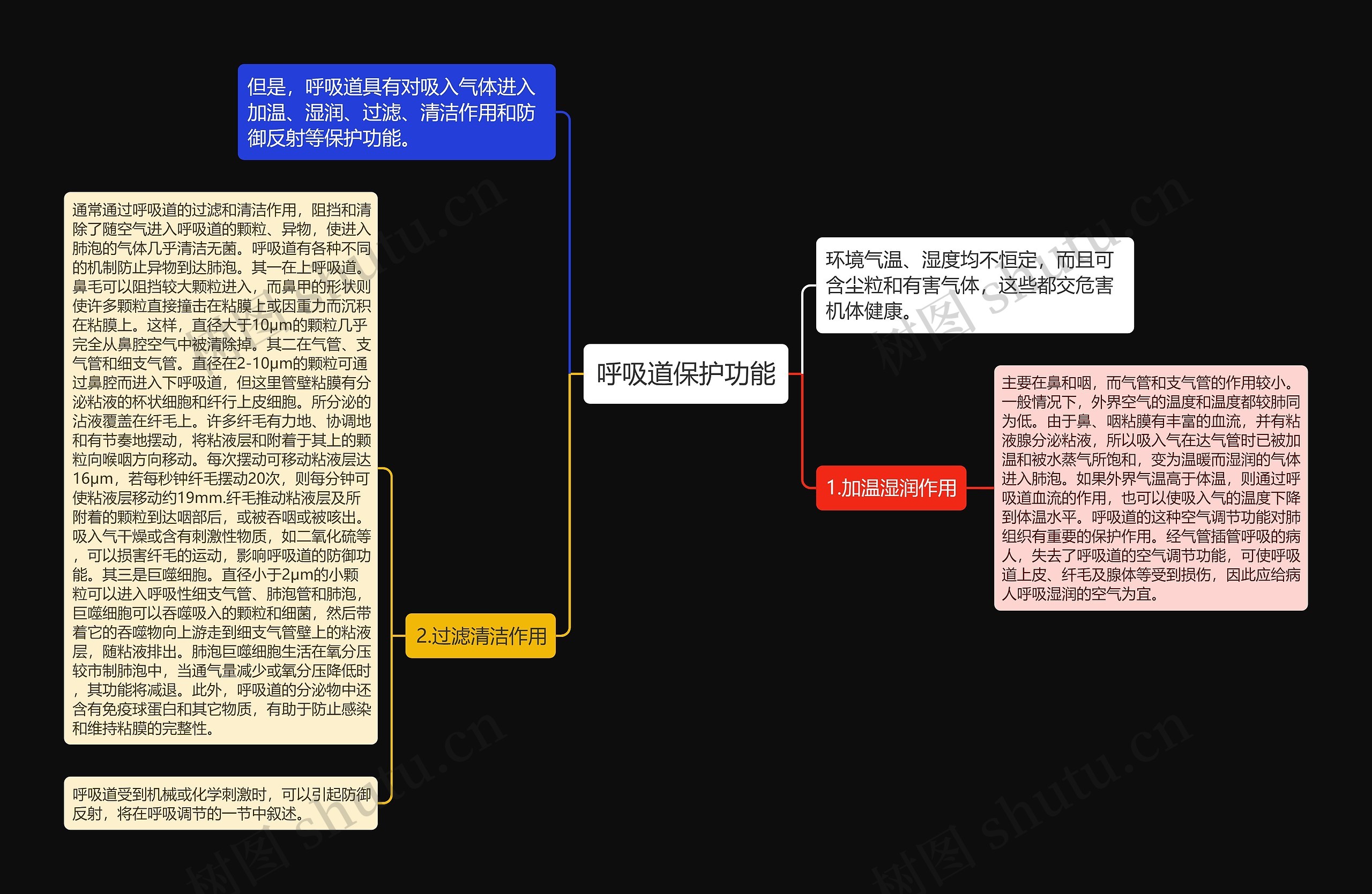 呼吸道保护功能思维导图