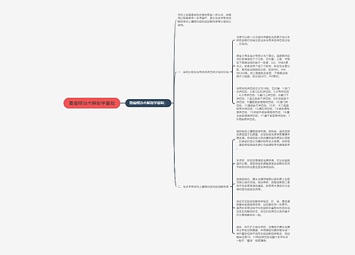 胃癌根治术解剖学基础