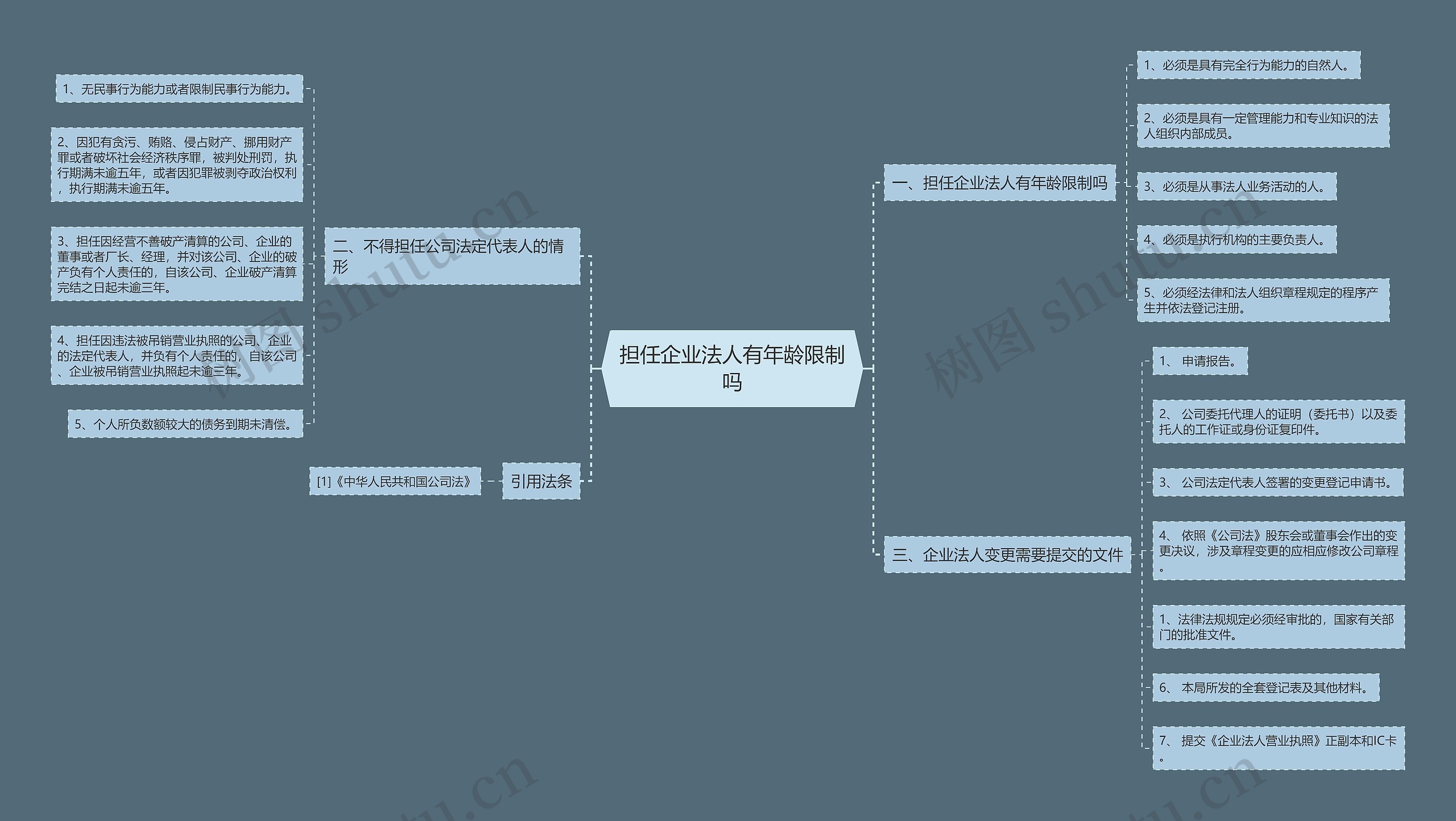 担任企业法人有年龄限制吗思维导图