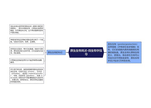 原生生物简述-微生物学指导