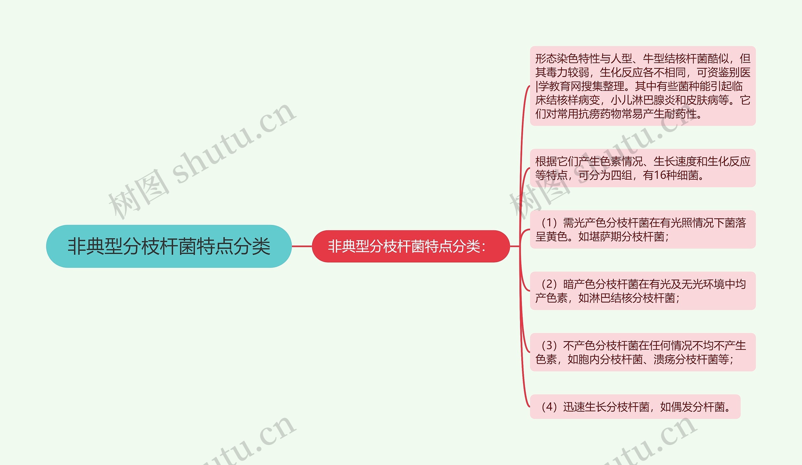 非典型分枝杆菌特点分类思维导图