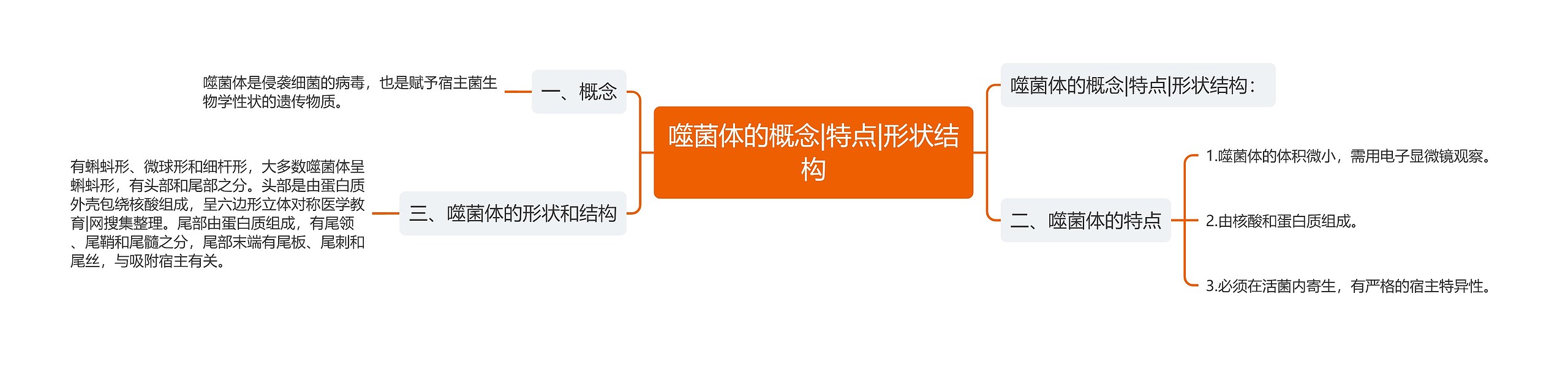 噬菌体的概念|特点|形状结构 噬菌体的概念|特点|形状结构