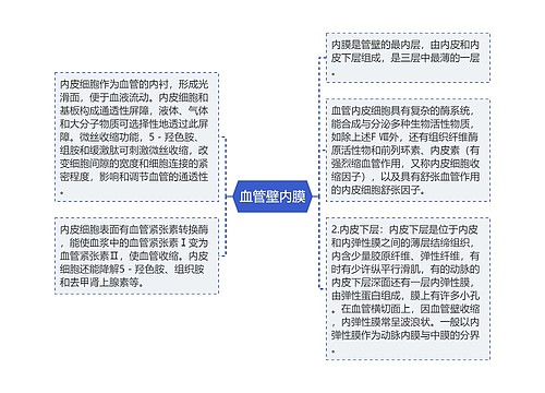 血管壁内膜