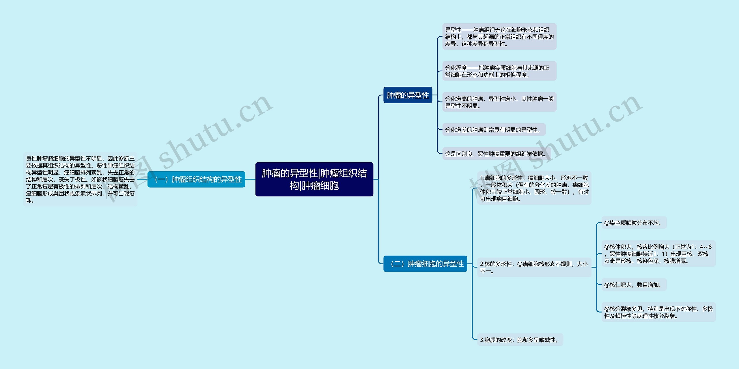 肿瘤的异型性|肿瘤组织结构|肿瘤细胞思维导图