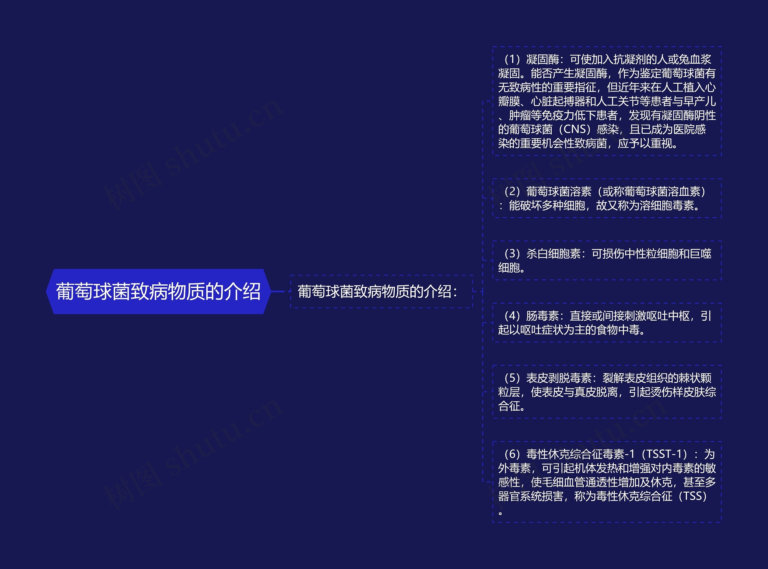 葡萄球菌致病物质的介绍 葡萄球菌致病物质的介绍