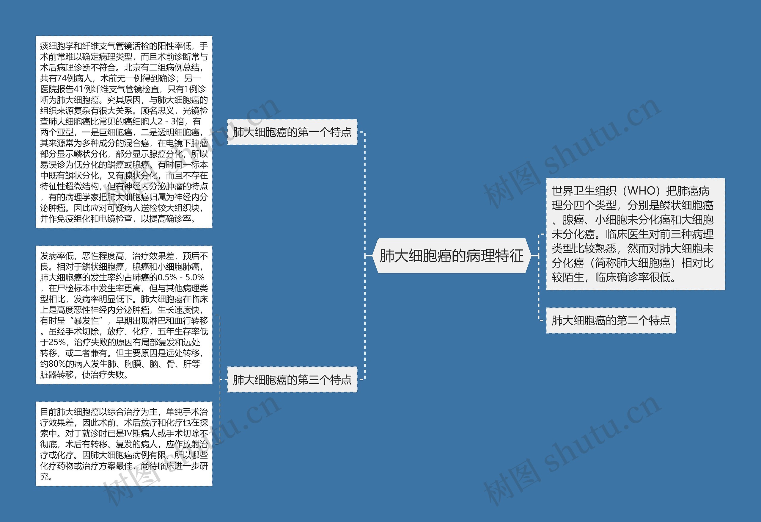 肺大细胞癌的病理特征思维导图