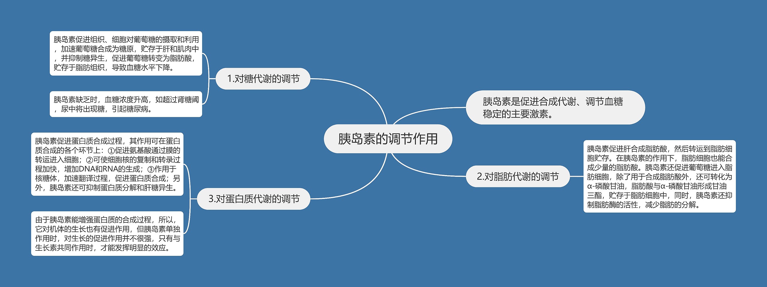 胰岛素的调节作用思维导图