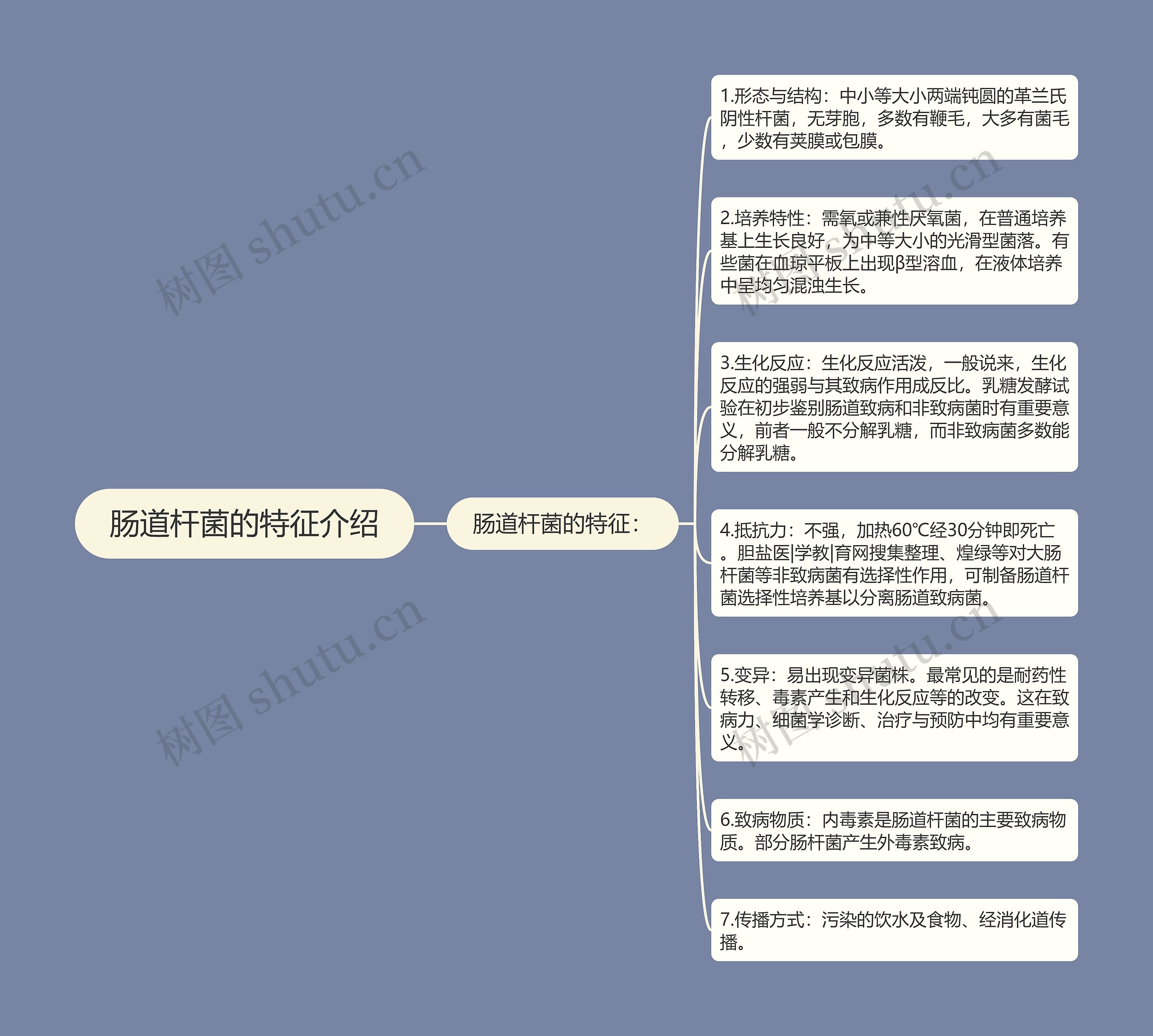 肠道杆菌的特征介绍思维导图