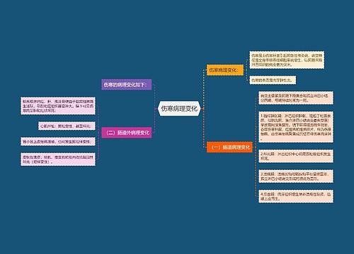 伤寒病理变化