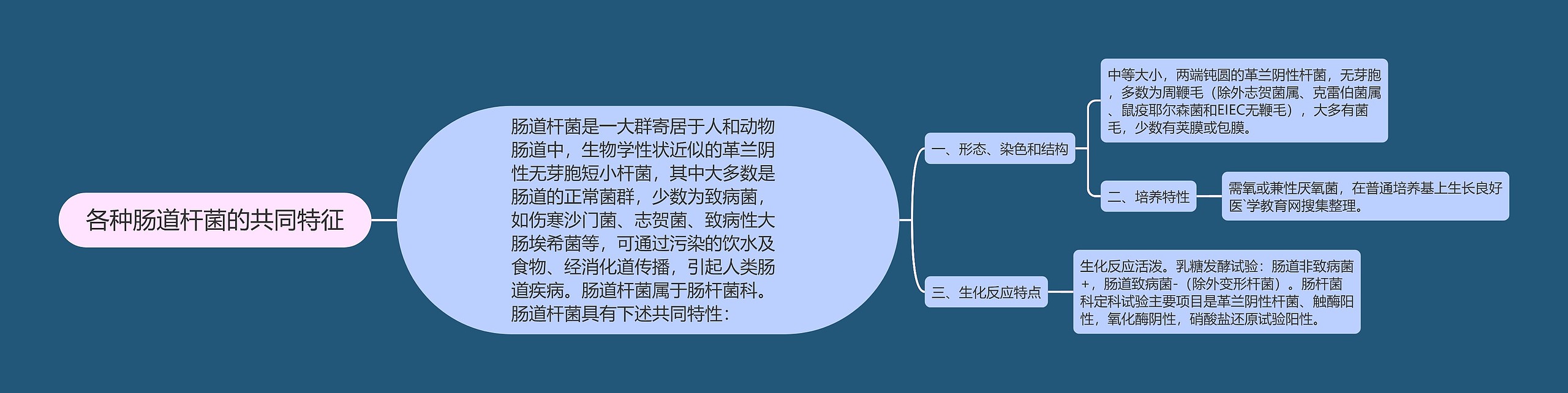 各种肠道杆菌的共同特征思维导图